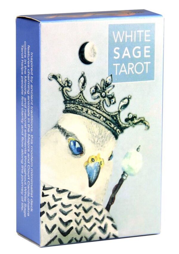 TLMF 塔罗牌 神谕卡片 全英文版 Tarot cards deck 桌游卡 - 图片 10