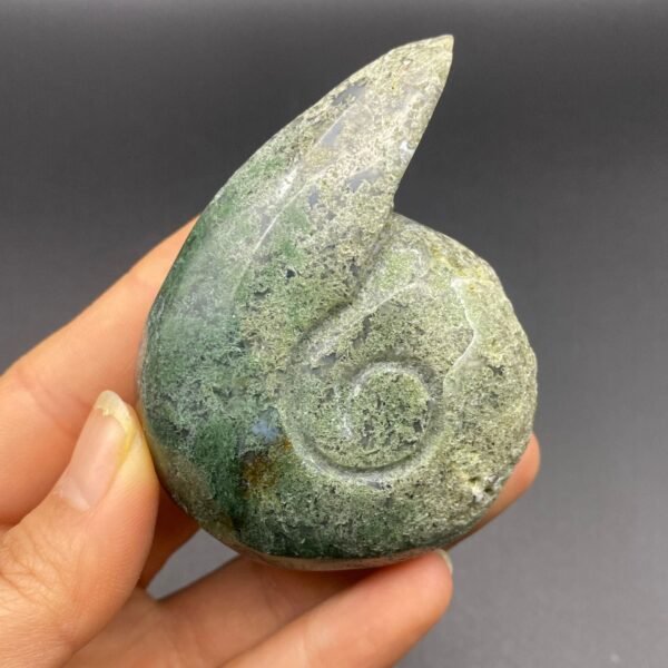 天然水草玛瑙蜗牛精品水晶手工雕刻件桌面摆件手工雕刻件 - 图片 3
