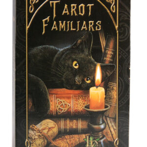 TLMF Rider waite tarot pack 桌游纸牌 Tarot Cards deck famjljars