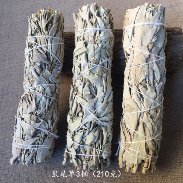 澳洲白鲍鱼贝壳大海螺创意家居摆件烧鼠尾草容器观赏鱼缸盆栽装饰 - 图片 11