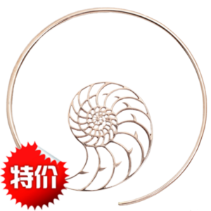 美国玛雅永恒耳环（一对）【灵感来自海洋的力量，带上永恒的感激