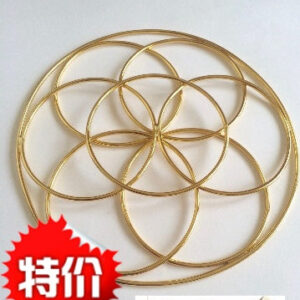 生命种子神圣几何占星【冥想修行+增强能量+清理脉轮+神圣空间】
