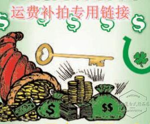 此链接为补拍运费等差价